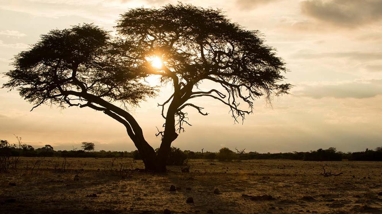 Sunset in the KAZA Transfrontier Conservation Area