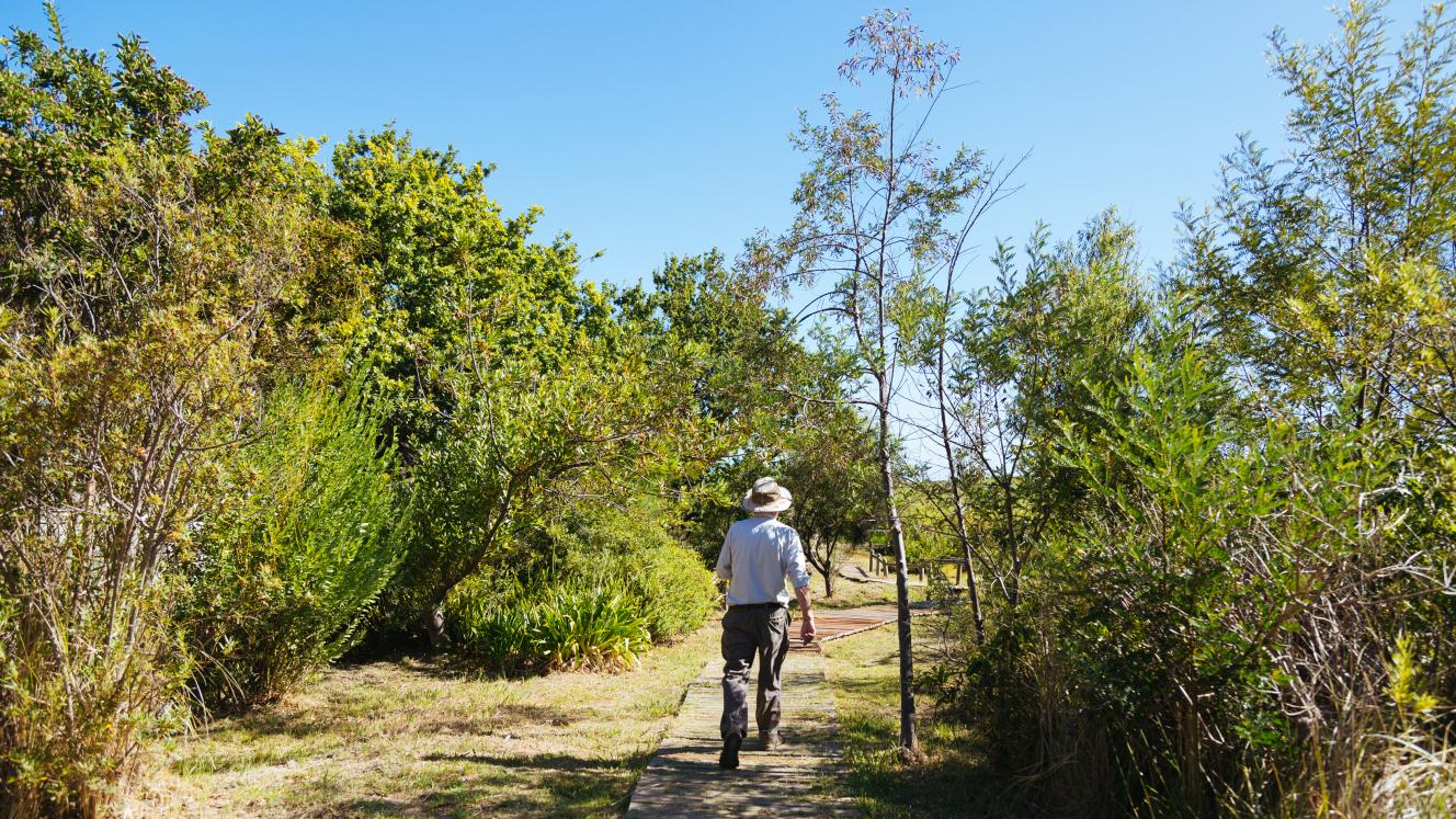 Helderberg Nature Reserve in Somerset West. Credit: Hillary Fox