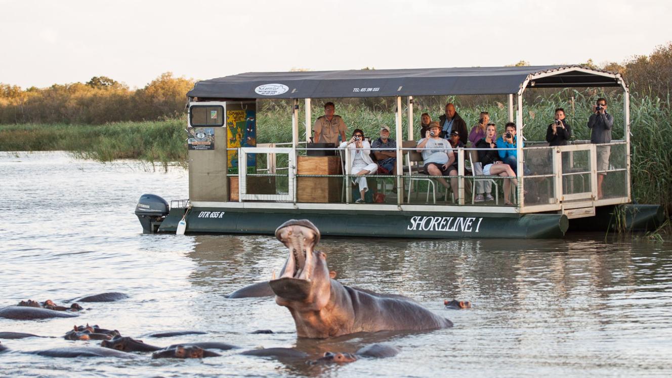 Shoreline hippo and croc tours