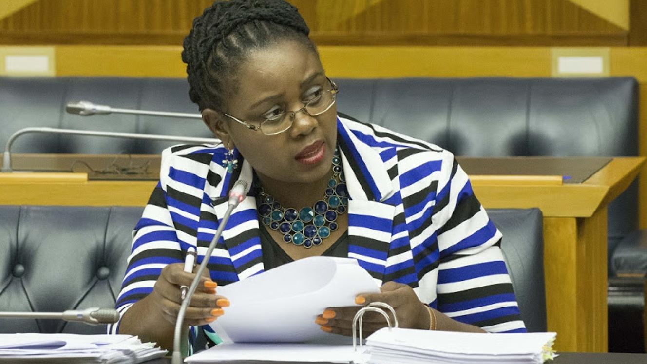 Minister of Tourism, Mmamoloko Kubayi-Ngubane.