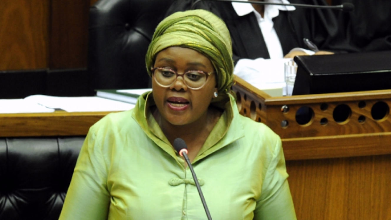 Minister of Tourism, Mmamoloko Kubayi-Ngubane