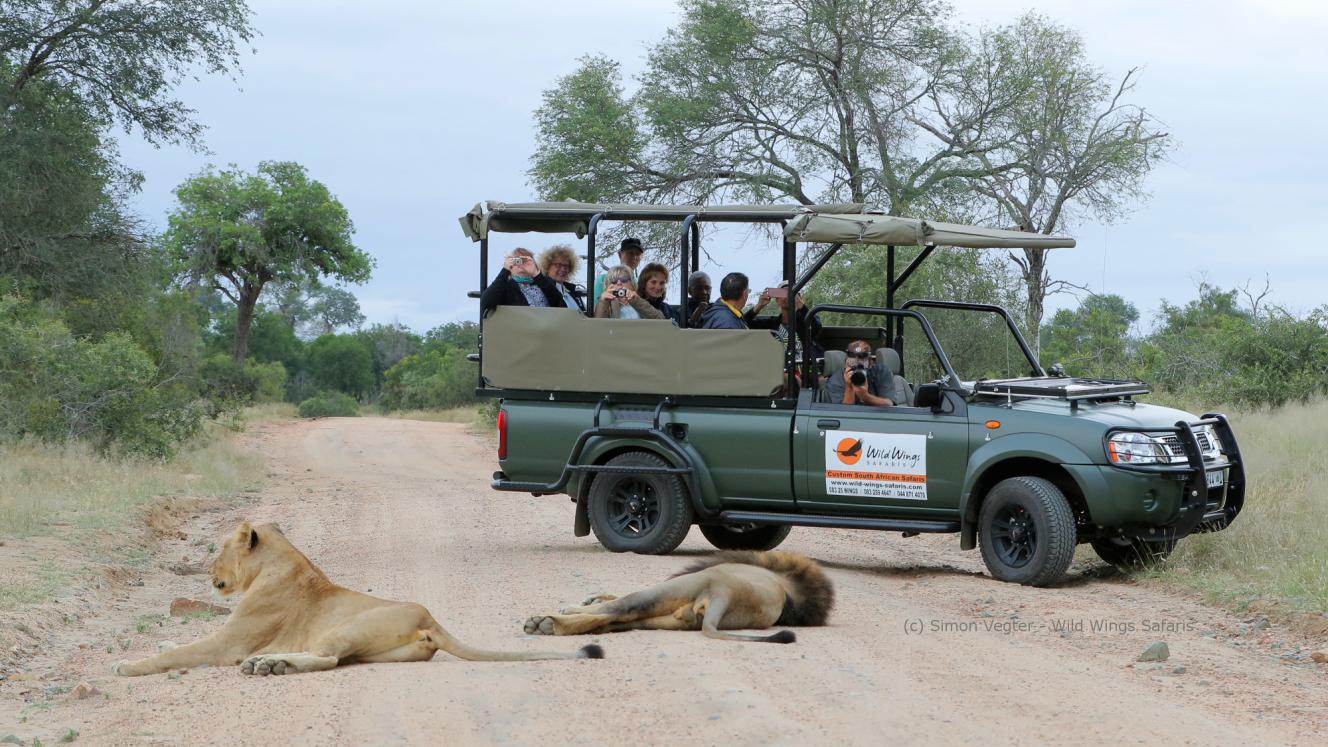 Kruger National Park safari. Source Wild Wings Safaris.