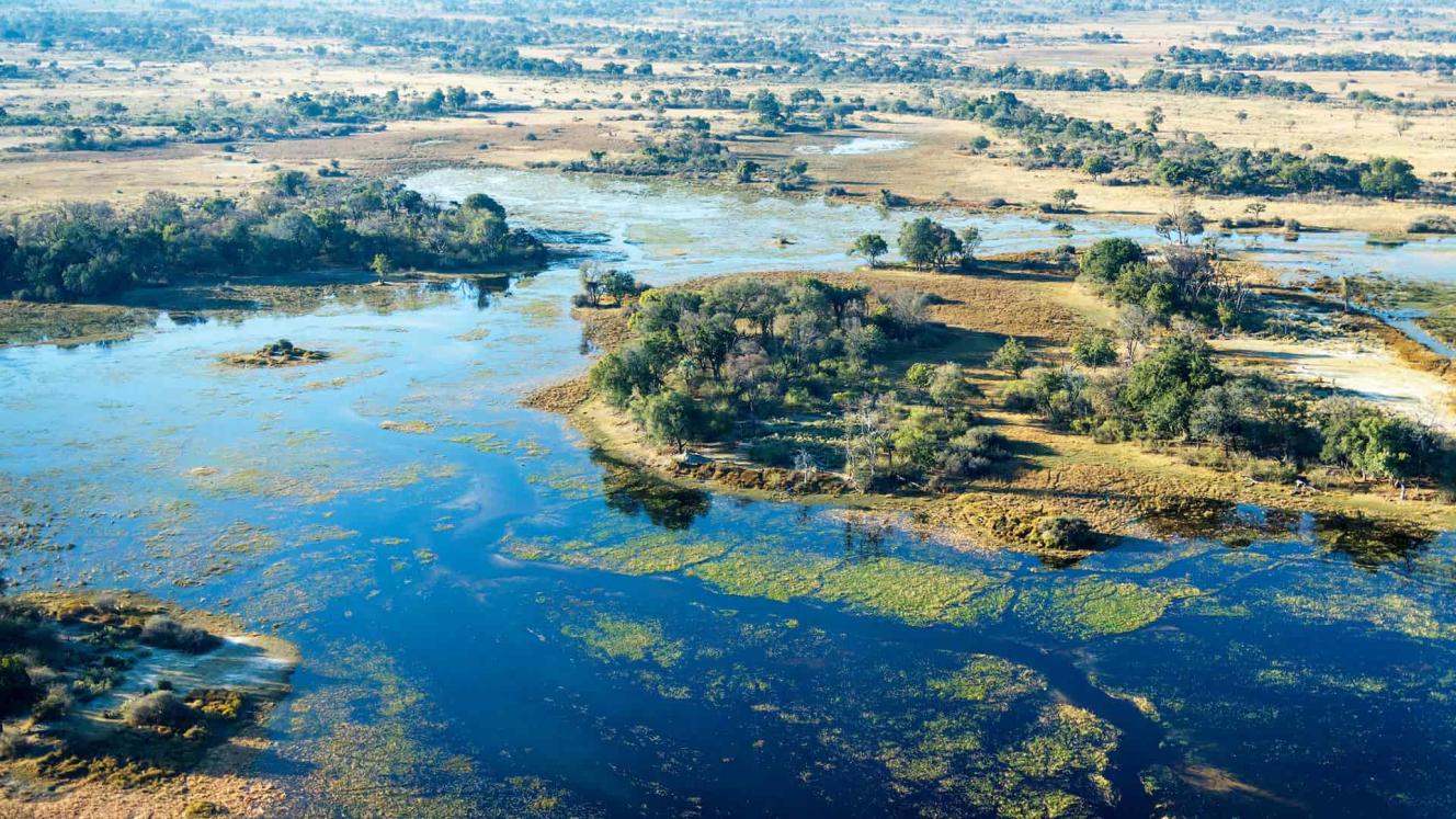 The Okavango Delta, where tourist guide Dutch Bihelang Kasale grew up and now guides.