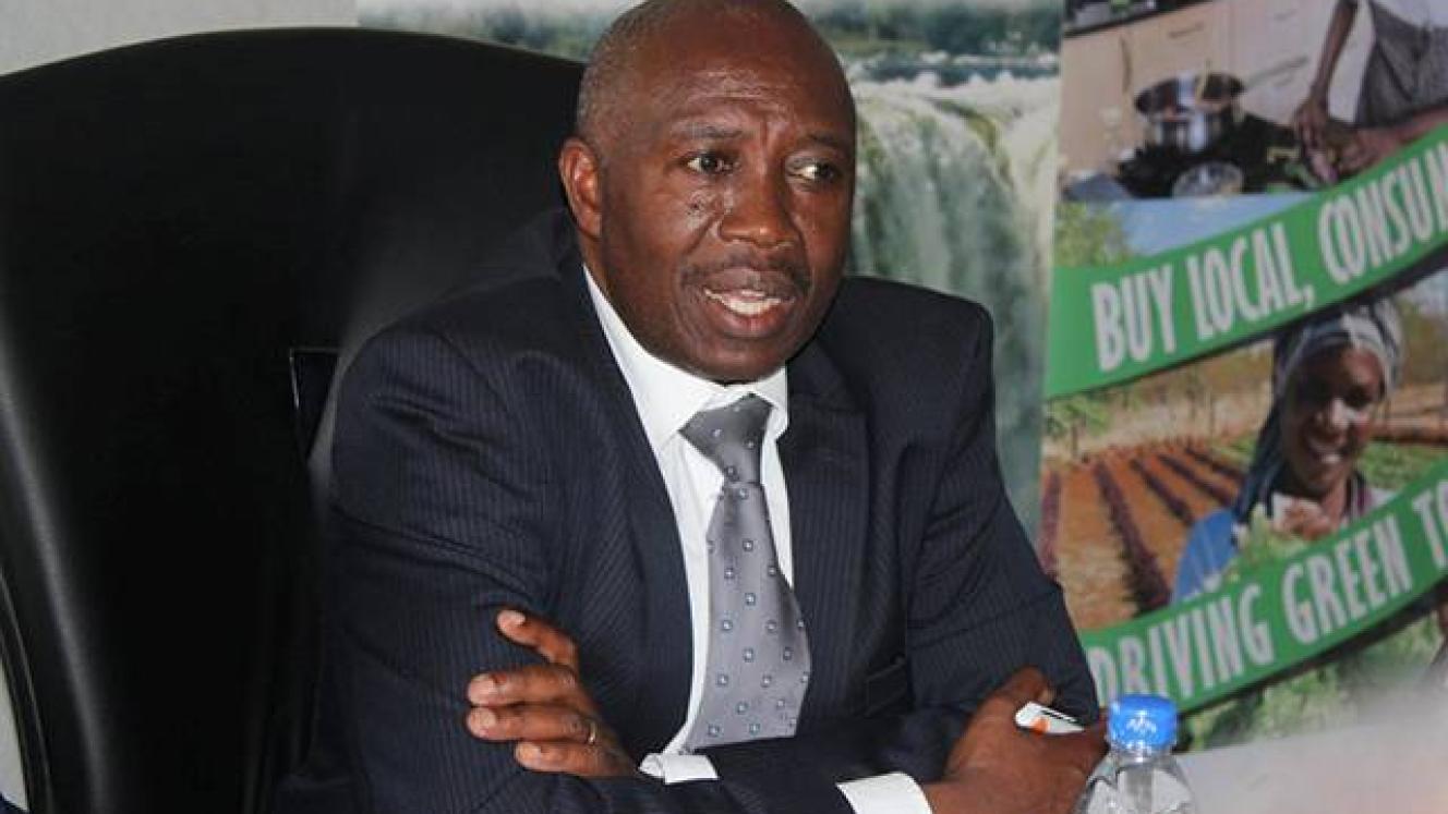 Zimbabwe Tourism Authority Acting CEO, Givemore Chidzidzi.