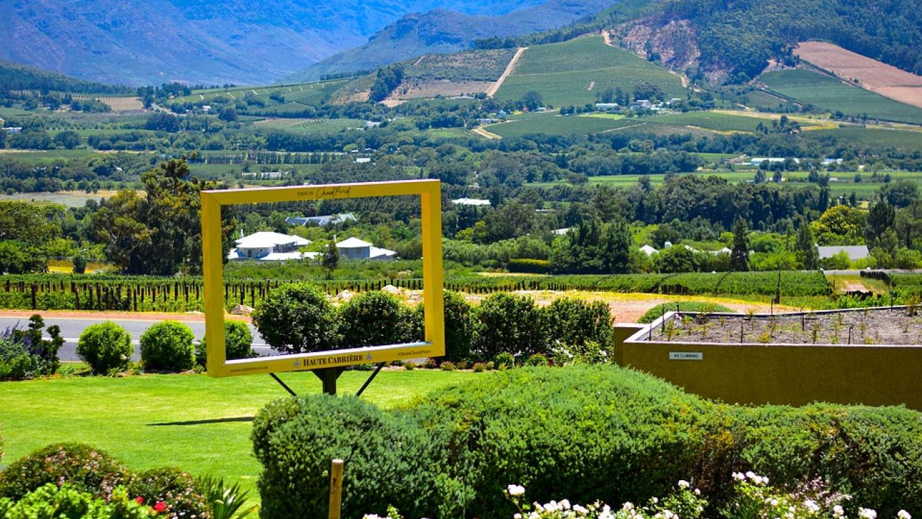 Wine farms, such as Haute Cabrière, draw a massive influx of international tourists.