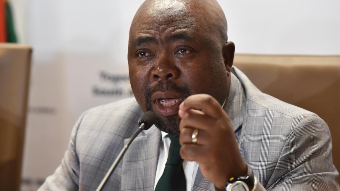 Minister of Employment and Labour, Thulas Nxesi.