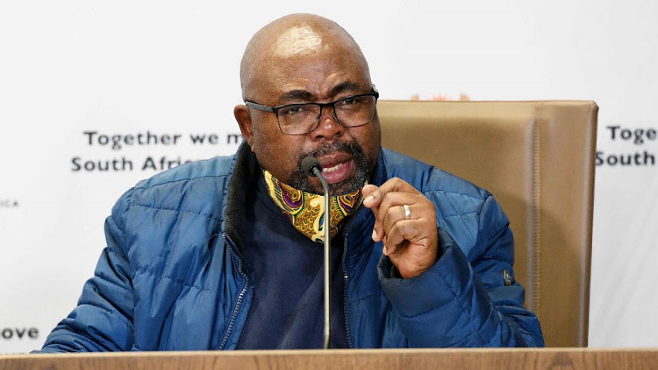 Minister of Labour, Thulas Nxesi.