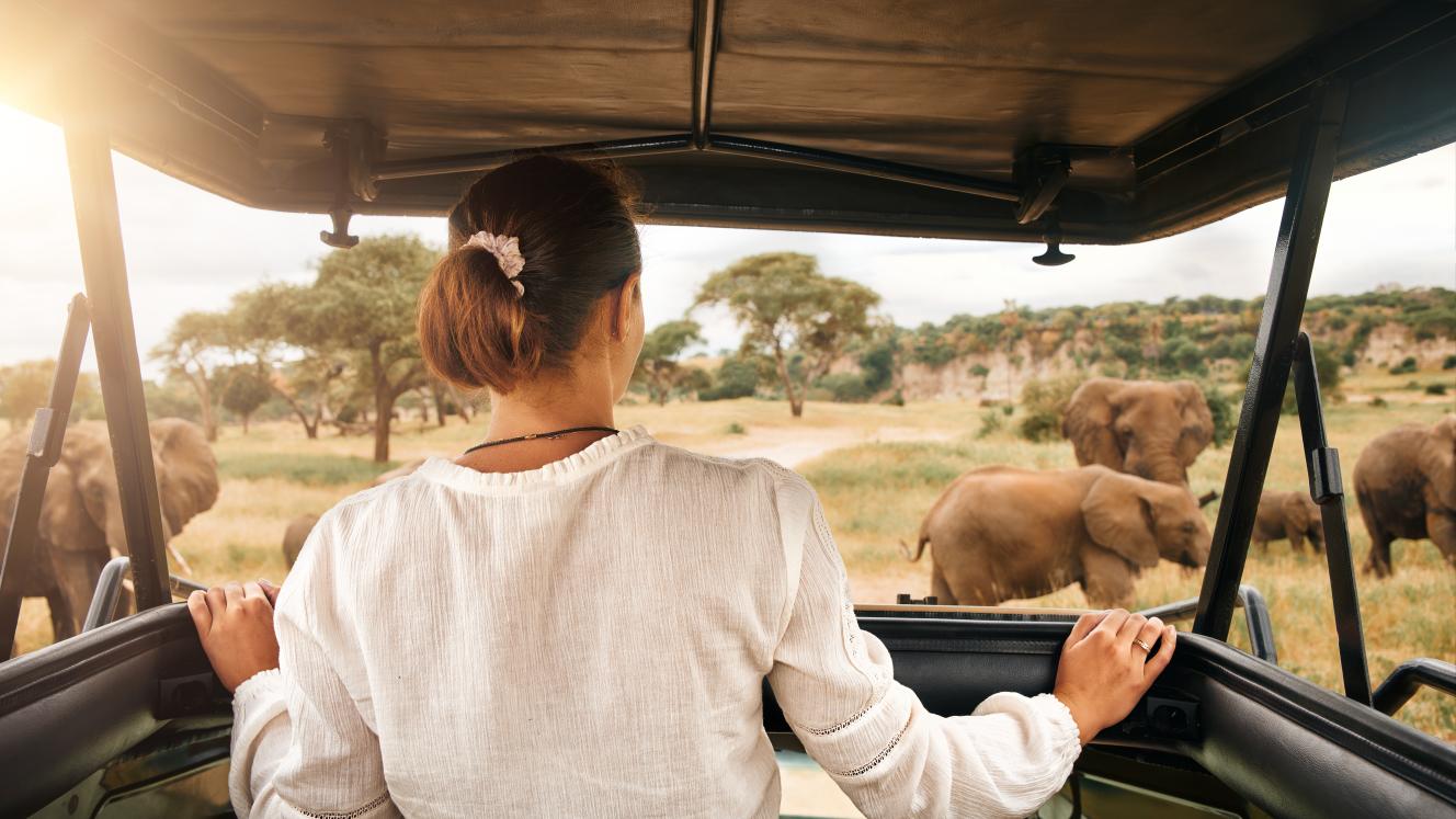 A private vehicle game drive, image courtesy of Ker & Downey