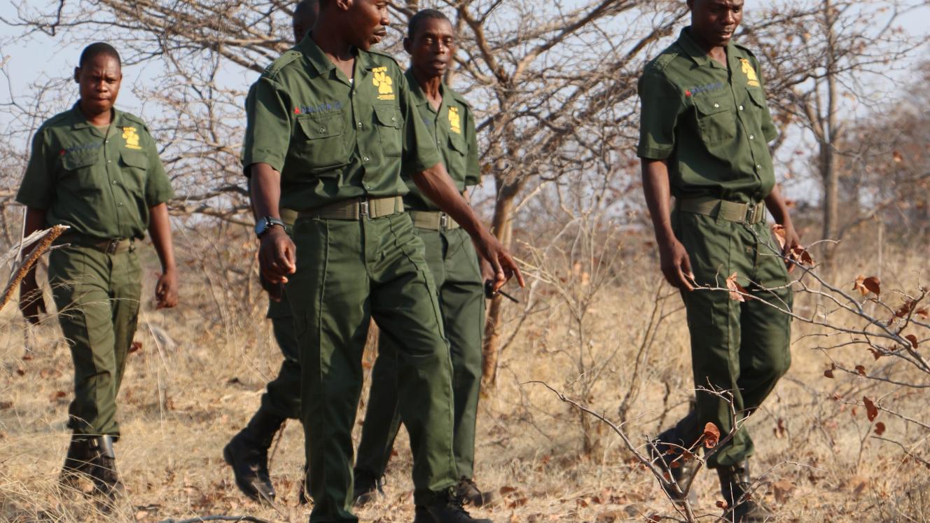 Victoria Falls anti-poaching unit scouts on patrol.