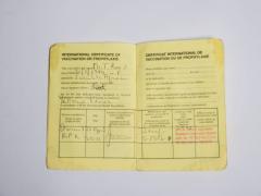 The World Health Organisation says Zambia has low yellow fever potential.