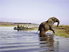 Tourists visit Botswana for its wilderness areas and wildlife offerings, say tour operators.