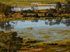 Botswana’s Belmond Eagle Island Lodge is located in Botswana’s Okavango Delta.