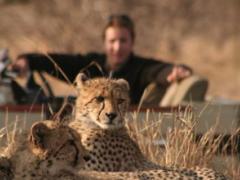 Our US judging panel select products for the US traveler.