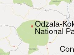 Wilderness Collection will conclude its operating and marketing contract for Odzala Wilderness Camps after an amicable agreement was reached between all parties.