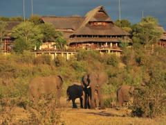 Africa Albida has invested heavily in upgrading the Victoria Falls Safari Lodge and opening adjacent properties.