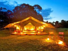  The Elephant Pepper Camp in the Masai Mara, Kenya, is one of the newly acquired properties part of the Elewana Collection.