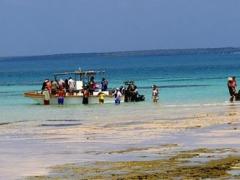 The Big Game to Coral Reefs tour explores the warm oceans, coral reefs and palm groves of Mozambique’s coast.