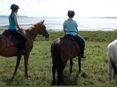 Hluhluwe Horse Safaris is the sole operator for horse safaris into the False Bay section of the iSimangaliso Wetland Park.
