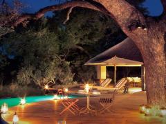 The Thornybush Collection will manage and market The River Lodge from the beginning of April.
