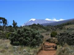 Tanzanian wildlife conservation has not reduced poverty in rural areas or contributed to economic growth.