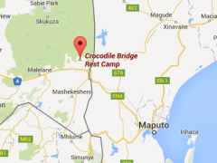 Crocodile Bridge has seen an increase in day visitors from Mozambique.