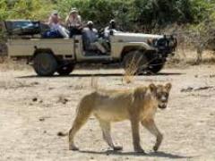 Proflight Zambia will launch a new flight route to Kafue, Zambia’s largest national park.