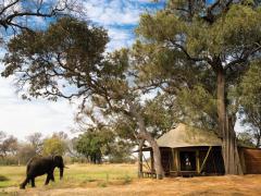 &Beyond has launched six new mobile camping safaris through iconic wildlife areas in Botswana.