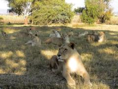 An internal investigation is under way to determine details of the incident.