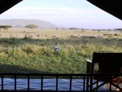 Intimate Places Tanzania has secured a new campsite in the Kogatende area in the Serengeti.