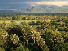 African Parks will manage and operate Liwonde National Park and Nkhotakota Wildlife Reserve for 20 years.