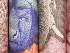 The rand has depreciated more than 30% against the British pound and US dollar.