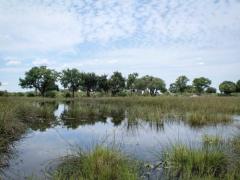 After some delays, Duba Expedition camp will open in a few months. 