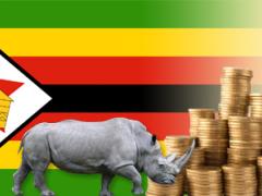 The Conservation & Wildlife Fund has appealed to the tourism industry to support a voluntary conservation levy.