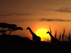 The SA Tourism UK roadshow will expose travel agents to products, activities and experiences in South Africa. 