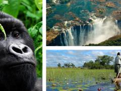 Tourism Update will increase its coverage of East Africa, Zimbabwe, Zambia, Namibia, Botswana and Mozambique.