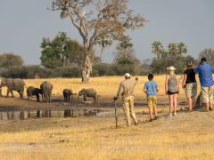 Wilderness Safaris’ privately guided explorations are led by experienced guides and limited to seven guests.