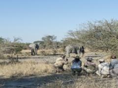 Botswana Wilderness Safaris has launched three new, privately guided explorations for two to seven guests.