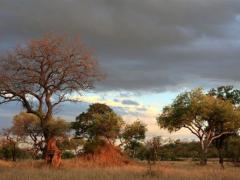 A new tented safari lodge will be developed in the Kruger National Park, following approval from the Department of Environmental Affairs.