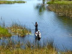 Water activities along the Okavango Delta can resume with high flood levels expected.