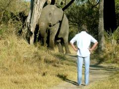 Peter Sandenbergh is fondly remembered by his colleagues for his love of the bush and disregard for shoes.