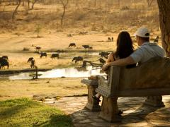 Wild Horizons will hold the management contract for a period of five years.