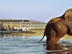 A code of conduct and vehicle restrictions have been introduced to address congestion around the Chobe Riverfront.