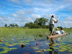 Bookings to the Okavango delta have rebounded, members of the industry report.