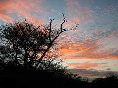 SANParks has repaired a hole in the fence following the attack on a 15-year-old boy by a hyena.