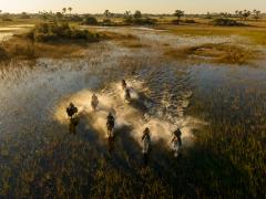 Botswana was one of the top five family holiday destinations in Southern Africa as voted by Tourism Update readers.