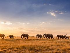 Botswana Tourism Organisation is looking to develop new adventure, culture and heritage tourism products.