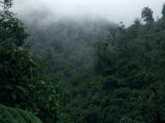 Elevating the status of Uganda’s Pian Upe Wildlife Reserve will boost visitor numbers and augment conservation efforts, says Isaiah Obwoya, President of the Eastern Entrepreneurs Network.