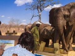 Guests enjoying a morning out with paints, paper, a chair and an easel at the Wild Horizons Elephant Wallow.