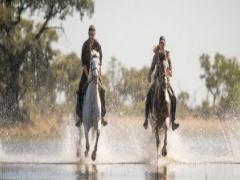 Belmond Eagle Island Lodge has introduced horseback safaris.