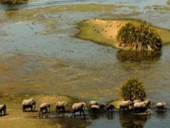 The tourism industry could exacerbate the treat of biodiversity and sustainable use of resources in the Okavango Delta.